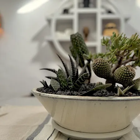 Botanica - 5 Bedroom With Pool And Hot Tub Prázdninový dům