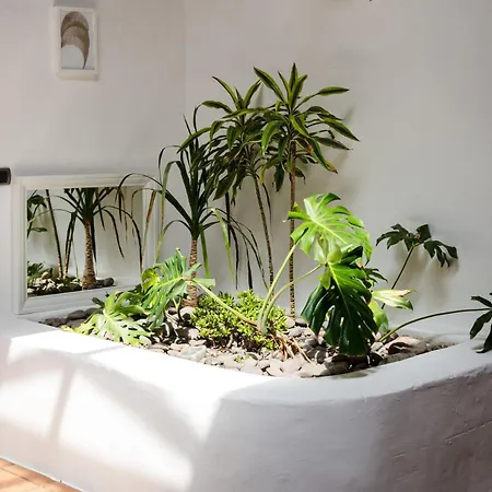 Botanica - 5 Bedroom With Pool And Hot Tub * Tao