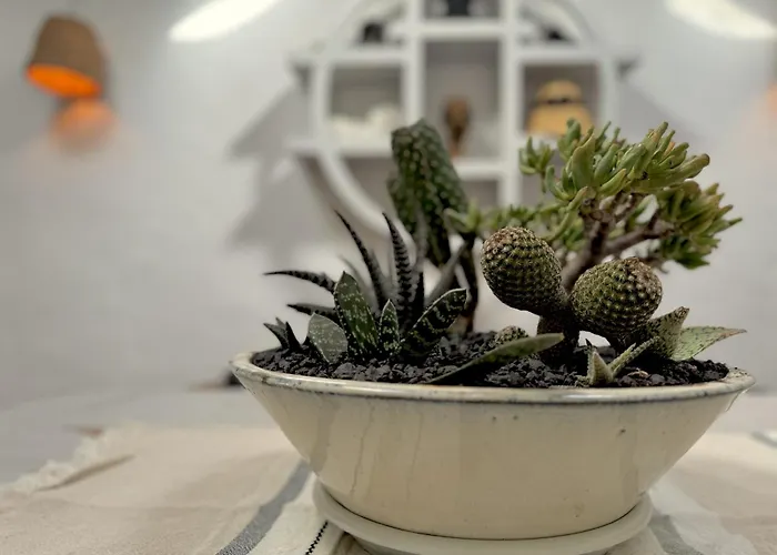 Botanica - 5 Bedroom With Pool And Hot Tub Holiday home